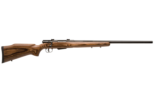 SAVAGE ARMS 25 LIGHTWEIGHT VARMINT