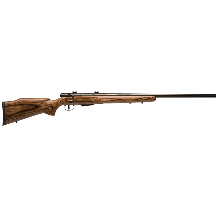 SAVAGE ARMS 25 LIGHTWEIGHT VARMINT