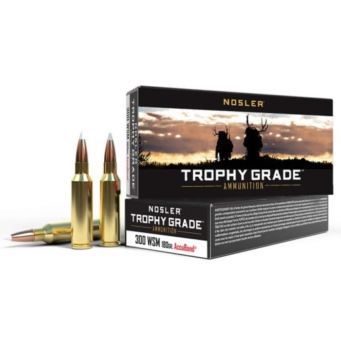 NOSLER Trophy Grade .300 WSM 180Gr AB 20rd Box Rifle Ammo (60063)