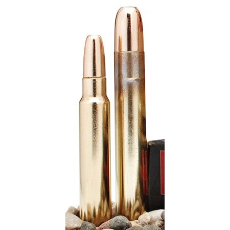 Hornady .450 Rigby 480 Grain DGS-20 Count