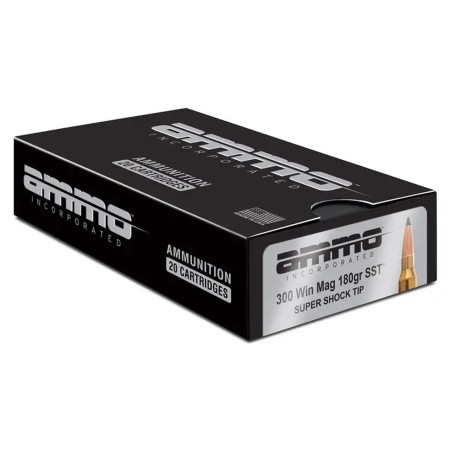 Ammo Incorporated Signature, 300 Win Mag 180 gr 20/10