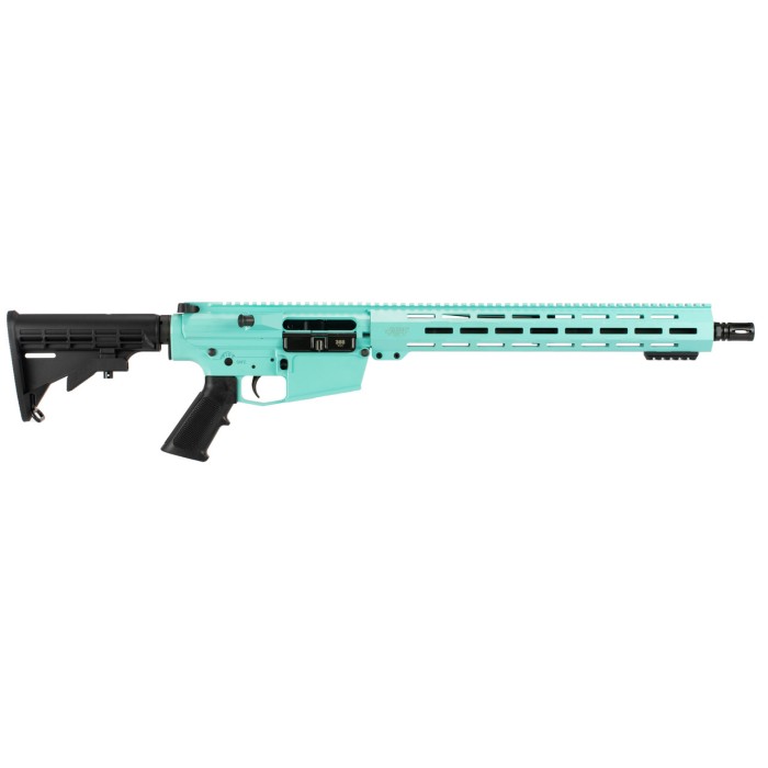 Alex Pro Firearms Guardian 308Win 16 Robins Egg Mlok M4 20Rd RI288RB