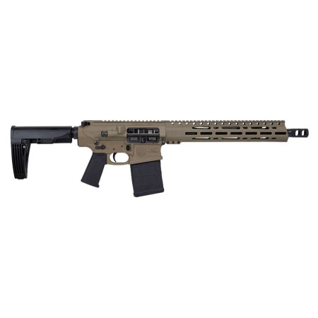 Diamondback DB10 308 Win AR-10 Pistol FDE DB1222C061