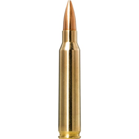 Norma Golden Target Match .223 Remington 69gr Ammo, 20rds - 10157692