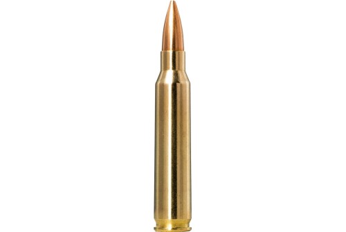 Norma Golden Target Match .223 Remington 69gr Ammo, 20rds - 10157692