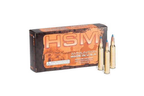 Hsm Ammunition Varmint 6Mmcreed 70Gr Blitzking 20/25 6CREEDMOOR1N