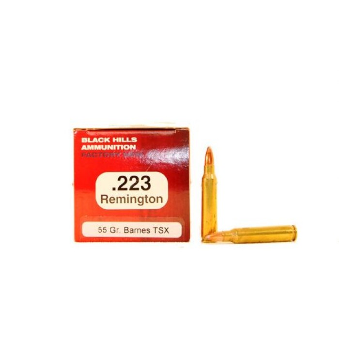 223 REMINGTON 55GR TSX AMMO - 223 Remington 55gr TSX 50/Box