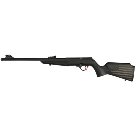 ROSSI RB 22LR 16.5 BLK 10RD EN01 US FLAG