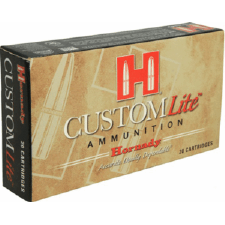 HORN CUSTOM LITE 308 120GR SST20BX