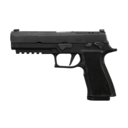 P320 XTEN