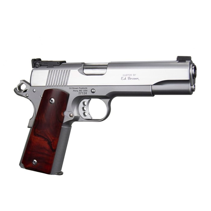 Classic Custom Government Model Stainless Steel 45Acp