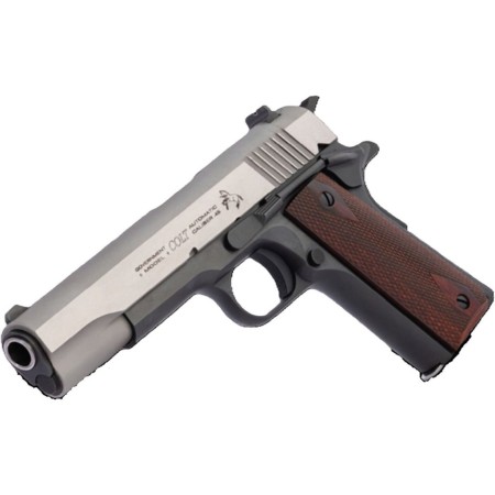 GOV'T TWO-TONE 45ACP 5