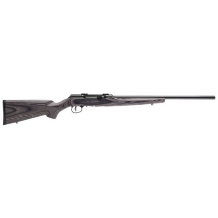 Savage Arms A17 Target Sporter Laminate 17 HMR 10 Round Semi Auto Delayed Blowback Rimfire Rifle, Sporter - 47006