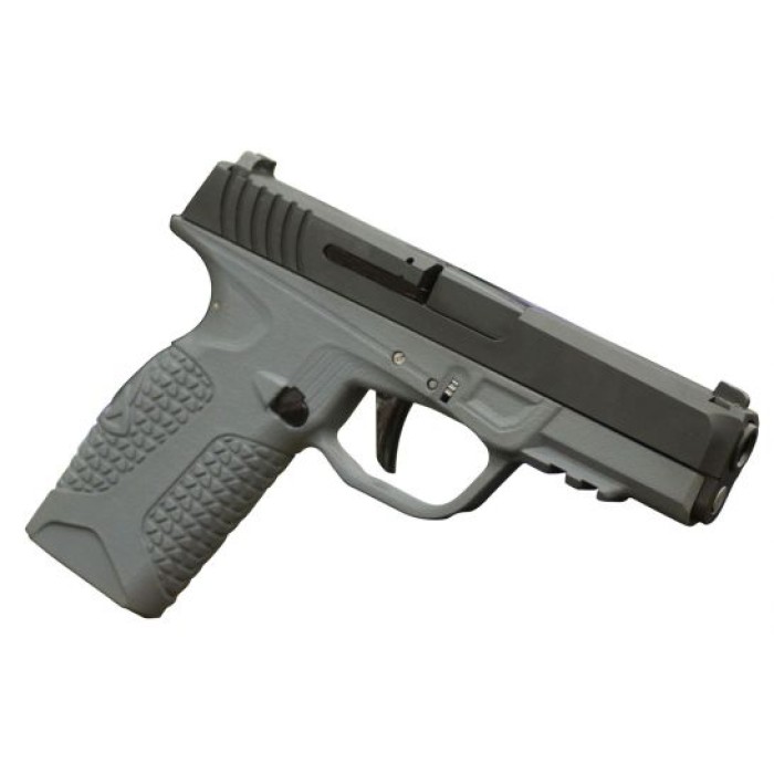 Avidity Arms PD10 9mm 10+1 Round Double Pistol, Gray - AAPDG10