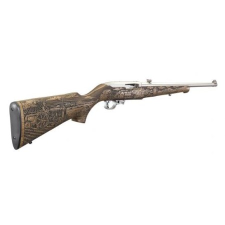 Ruger 10/22 Amer Frmer II 22Lr Ss/Wd 31133