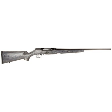 Savage Arms A17 Sporter 17 HMR 10+1 Semi Auto Delayed Blowback Rifle, Fixed - 47008