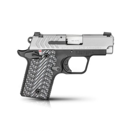 Springfield Armory 911 .380acp BiTone Pistol - PG9109S