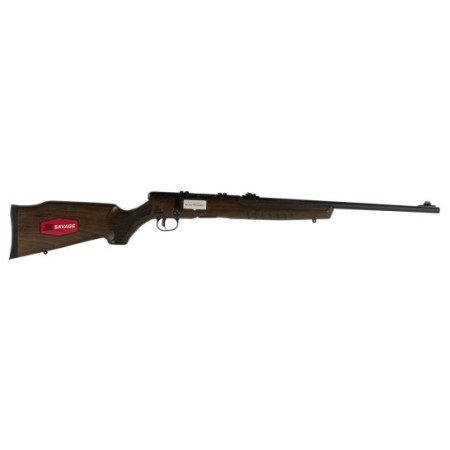 Savage Arms B17 G 17 HMR 10 Round Bolt Action Rimfire Rifle, Sporter - 70810