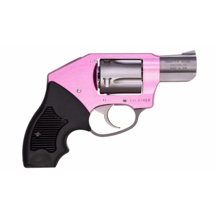 CHARTER ARMS The Pink Lady Off Duty .32 Mag 2in 6rd Pink/Stainless Steel Revolver (53251)