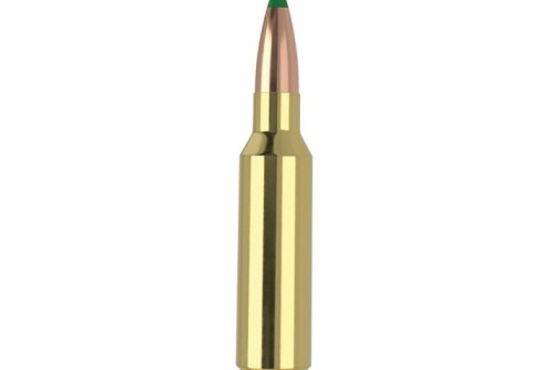 Nosler .300 WSM 165 gr BTHS 20rds Rifle Ammo for Superior Performance - 61035