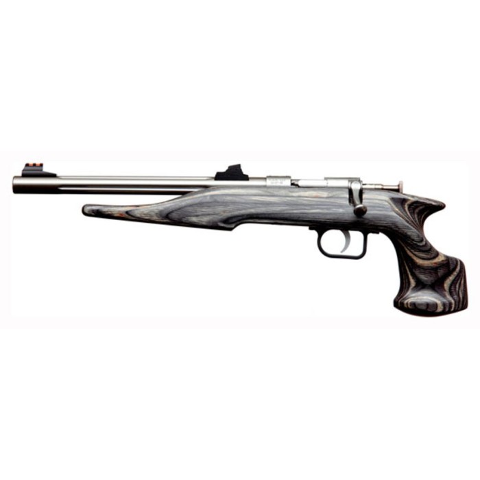 Chipmunk Hunter Youth Frame - 22 WMR Single Shot, 9-inch Threaded Stainless Steel Barrel, Black Laminate Frame - 40103