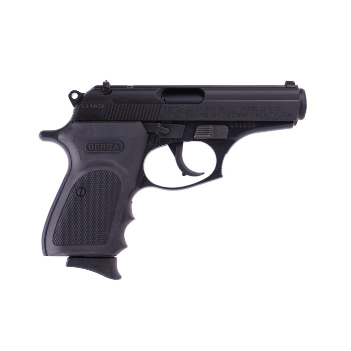 BERSA THUNDER 380