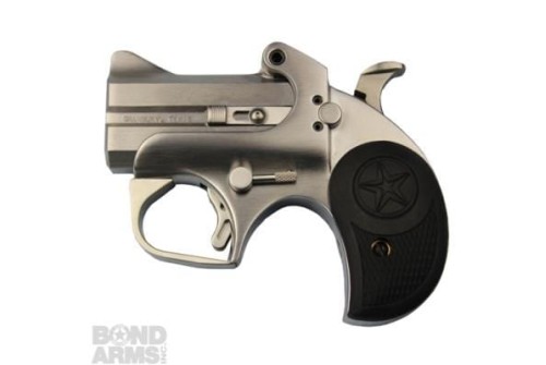 Bond Arms Cub