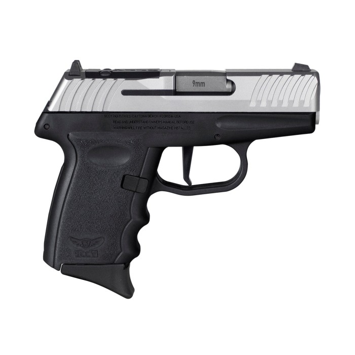 SCCY DVG-1 9mm Pistol, 3.1" Barrel, Blade Front/Adjustable Rear Sights, Black, Silver - DVG1TTBKRDR