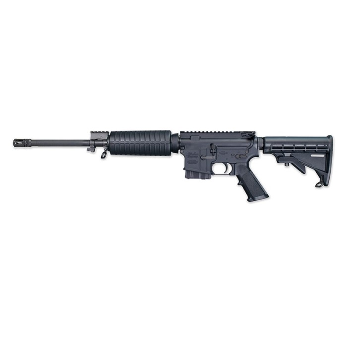 Windham Weaponry Windham Weaponry Src, .223 Rem, 16" Barrel, Collapsible Stock, Black, 10-Rd, MD Compliant R16FTT-10