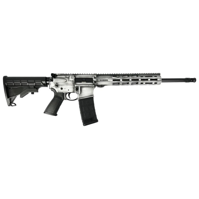 RUGER AR-556