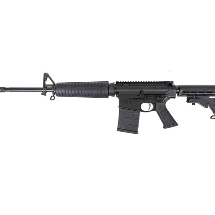 DPMS DP10 308 CLASSIC 18