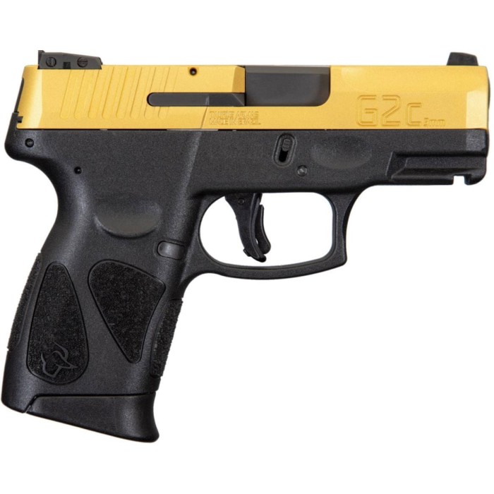 TAURUS G2C