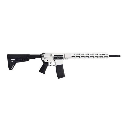 RUGER AR-556