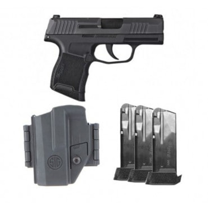 Sig Sauer P365-9-BXR3P-MS TACPAC 3.1