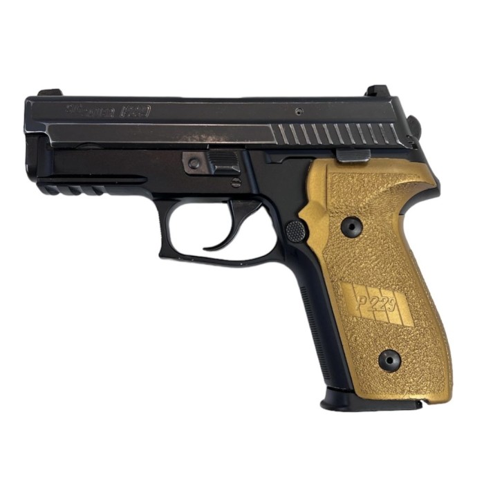 Sig Sauer P229 DAK 40 S&W Centerfire Pistol with Night Sights