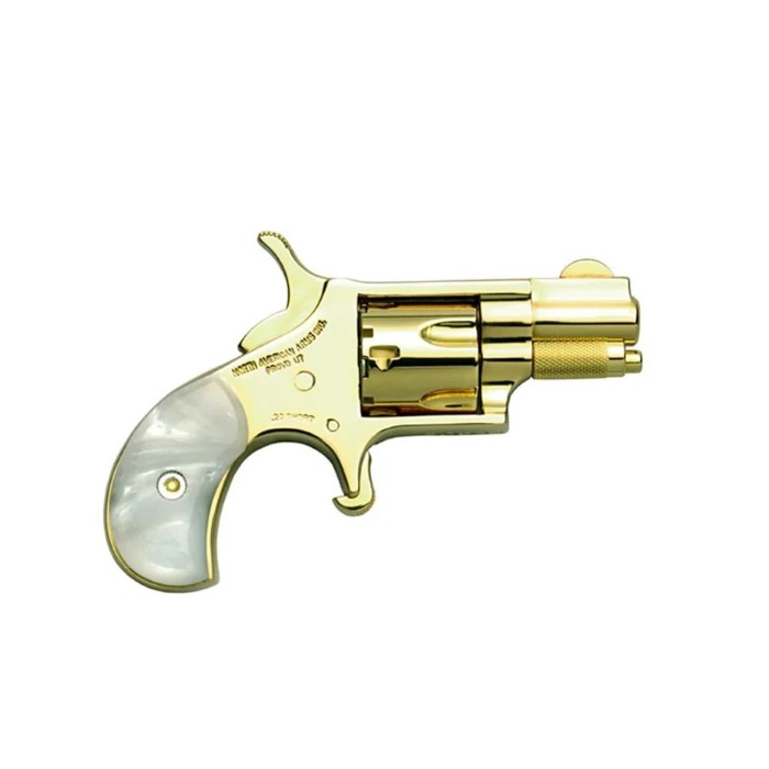 NORTH AMERICAN ARMS Golden Eagle .22 Short 1.13in 5rd 24k Gold Plated Revolver (NAA-22S-GE)