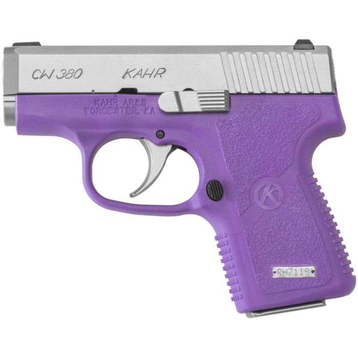 Kahr Arms Cw380 380Acp 2.58 Matte SS Raspberry 6Rd CW3833PRDAV