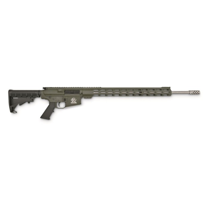 Great Lakes Firearms & Ammo Ar10 Rifle .243 Winchester 24" 5rd Od Green