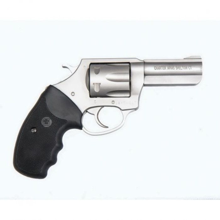 Charter Arms Pitbull Large .380 ACP Revolver, SS - 73802