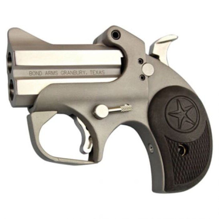 Bond Arms Roughneck .38 Spl/.357 Mag Pistol, Stainless - BARN