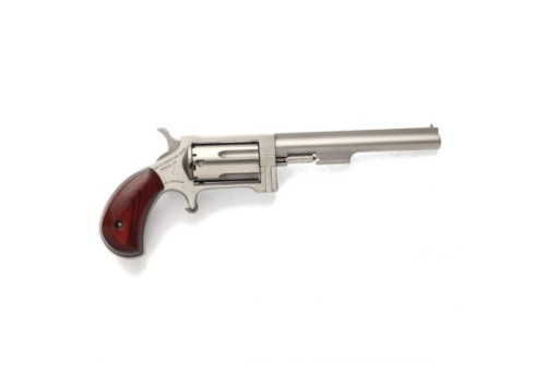 North American Arms Sidewinder Small 4" .22 Mag Revolver, SS - NAA-SW-4