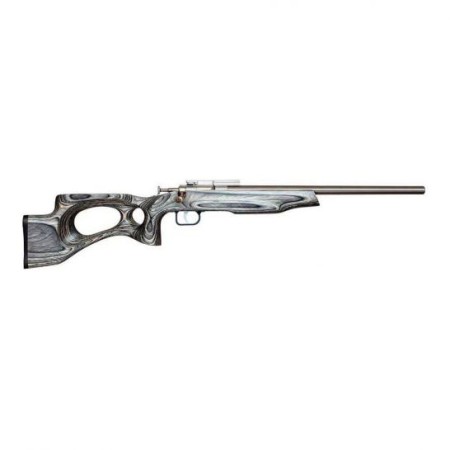 Keystone Sporting Arms Crickett EX .22lr Bolt Action Rifle, Blk - KSA2644