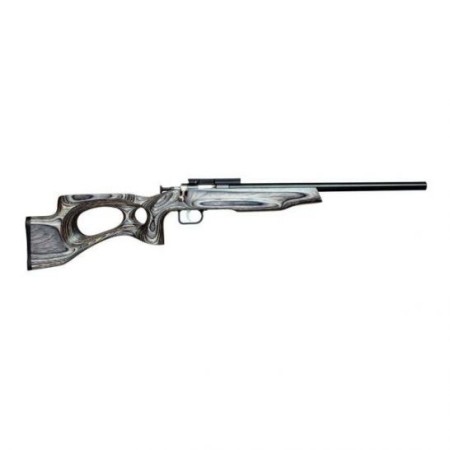 Keystone Sporting Arms Crickett EX .22lr Bolt Action Rifle, Blk - KSA2544