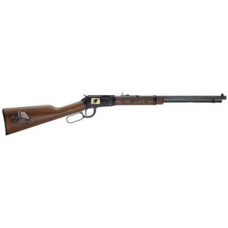 Henry Philmont Scout Ranch Special Edition .22 S/l/lr Lever Action Rifle, Brown - H001TPM