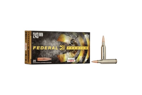 Federal Premium Barnes TSX 85 gr Triple-Shock X .243 Win Ammo, 20/box - P243K