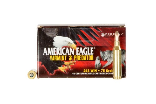 Federal American Eagle Varmint and Predator 75 gr Jacketed Hollow Point .243 Win Ammo, 40/box - AE24375VP