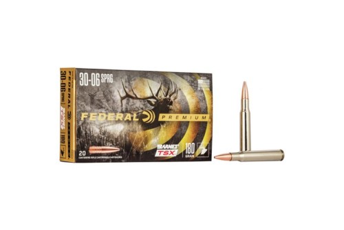 Federal Premium Barnes TSX 180 gr Triple-Shock X .30-06 Spfld Ammo, 20/box - P3006AE