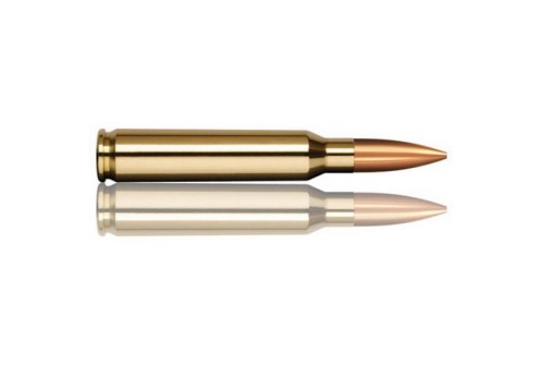 Norma USA Tactical .223 REM 55 Grain Full Metal Jacket Brass Cased Rifle Ammo, 20 Rounds, 295040020