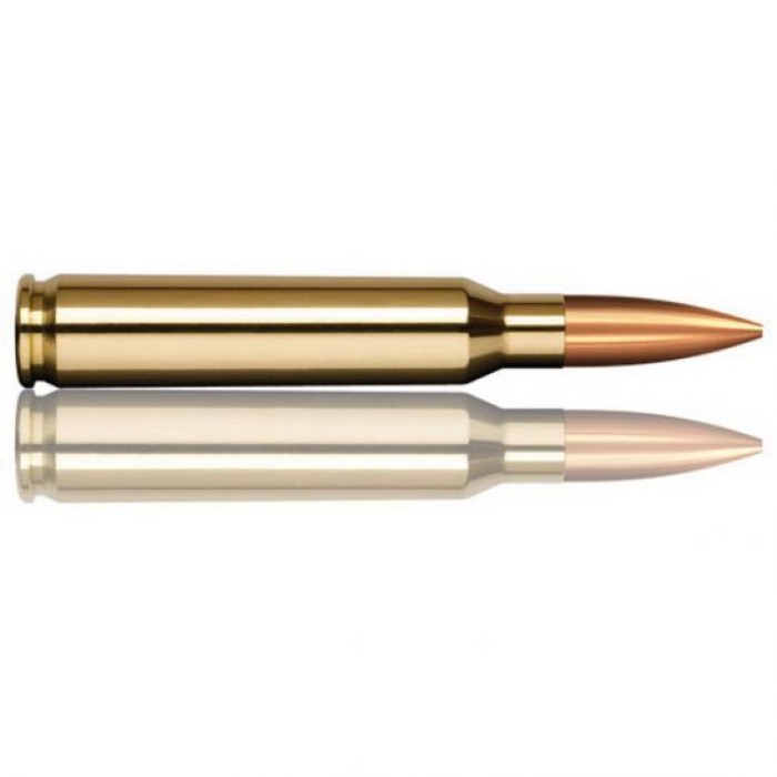 Norma USA Tactical .223 REM 55 Grain Full Metal Jacket Brass Cased Rifle Ammo, 20 Rounds, 295040020