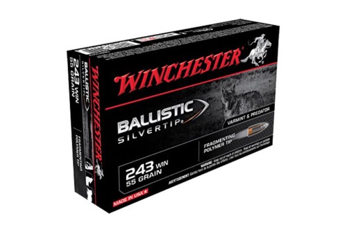 Winchester Ammunition Ballistic Silvertip 55 gr Polymer Tip .243 Win Ammo, 20/box - SBST243